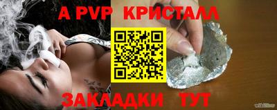 СК Белореченск