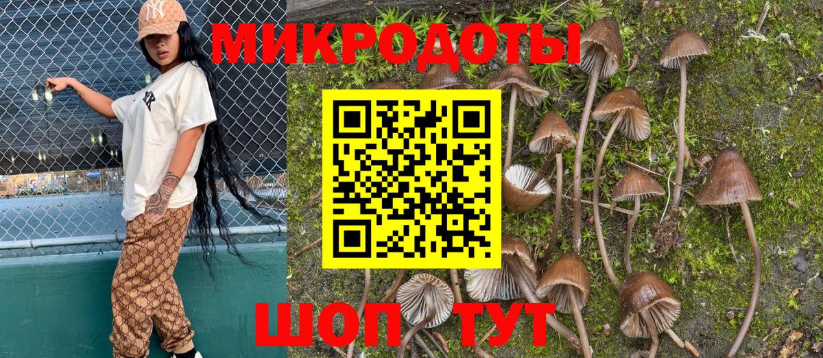 Псилоцибиновые грибы Psilocybe  Вход с VPN  Екатеринбург 